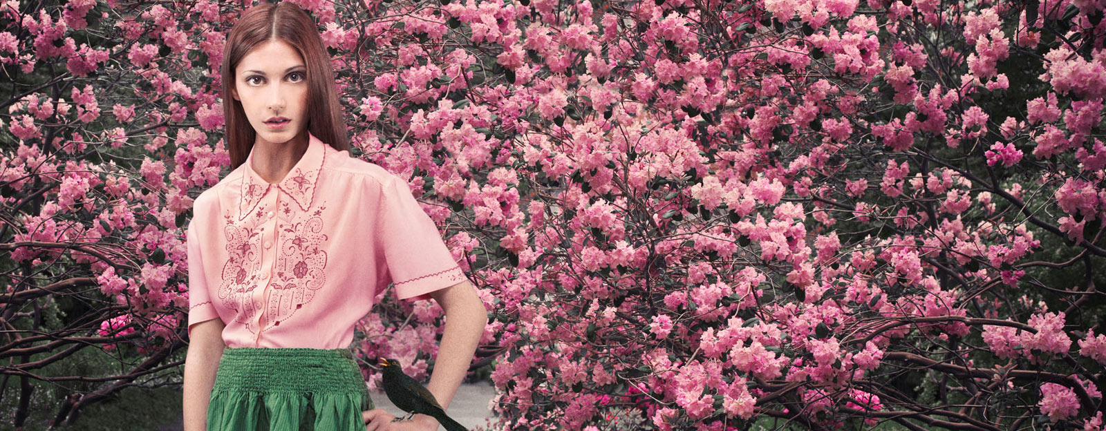 Kampanjbild Blackbird