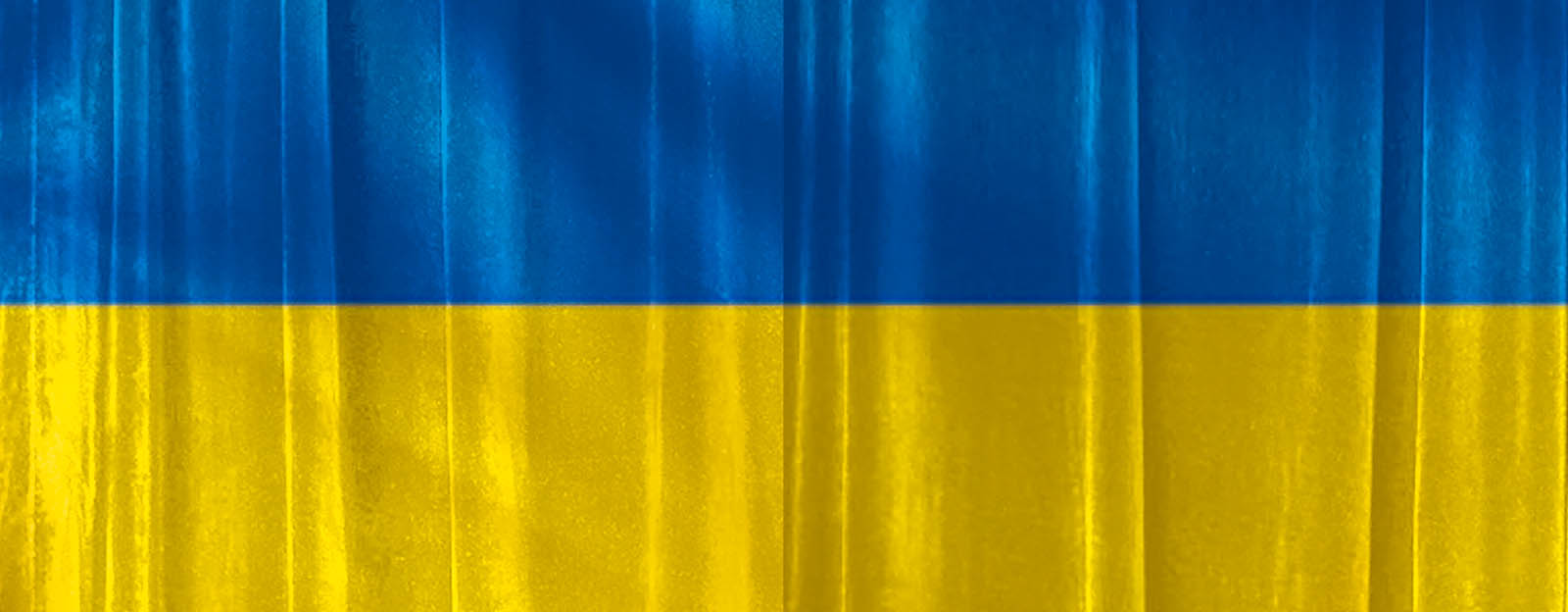 Ukrainas flagga
