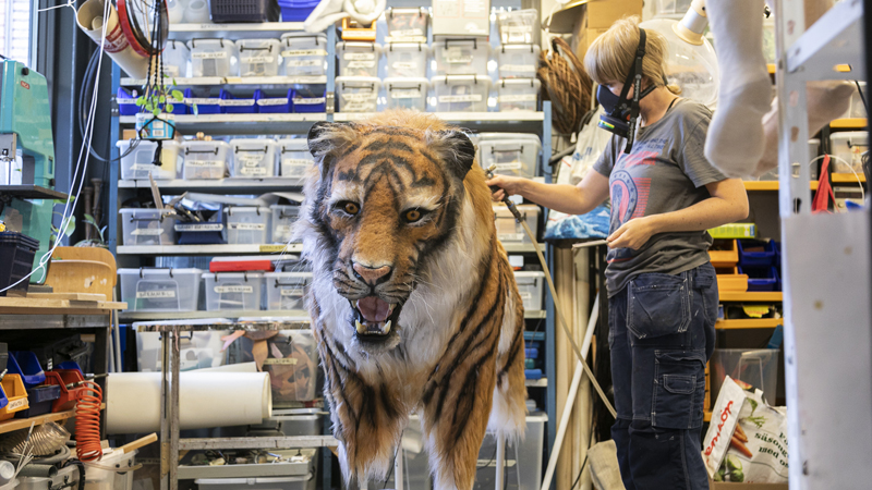 _D6A3153 kopiera.jpg