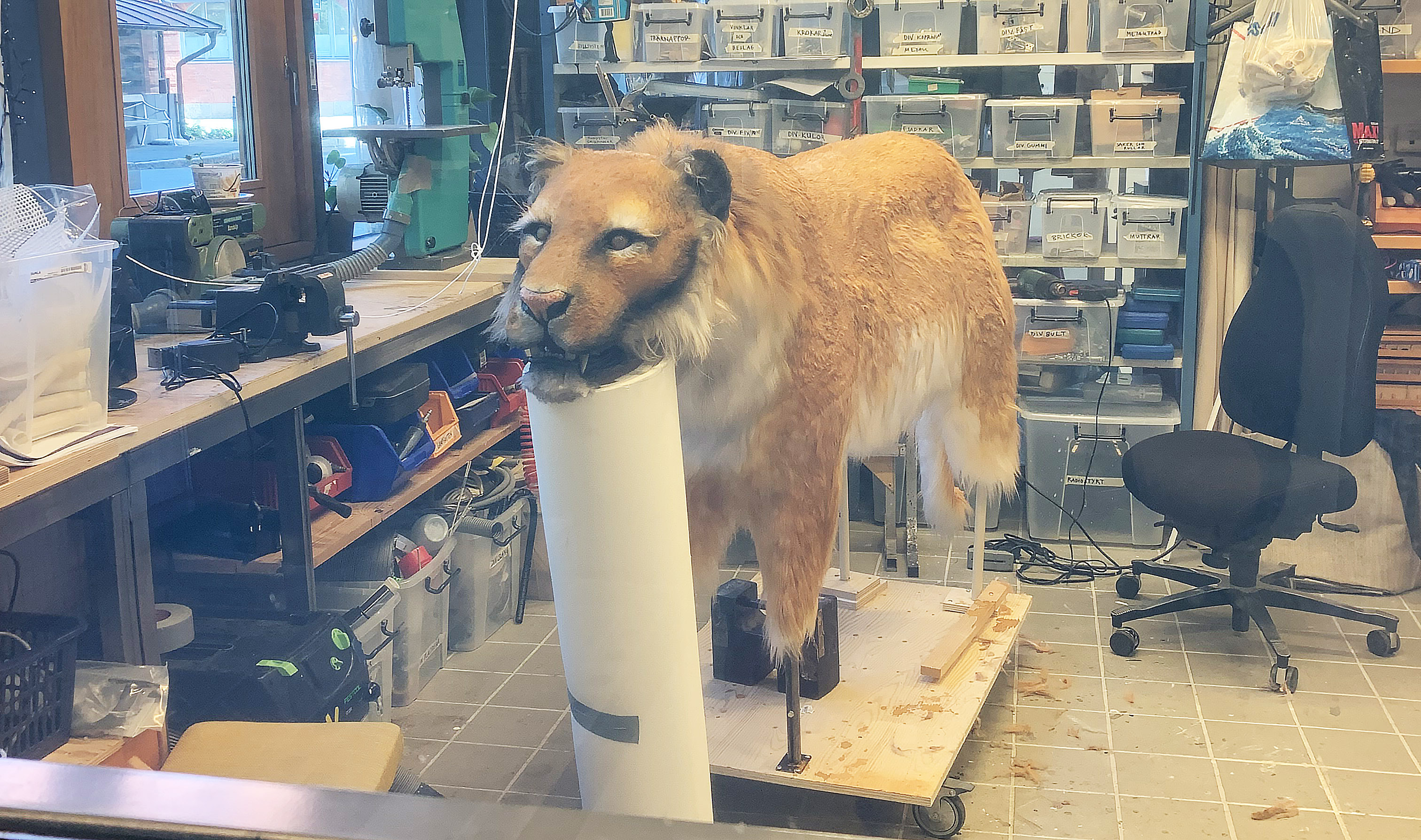 IMG_1709 kopiera.jpg