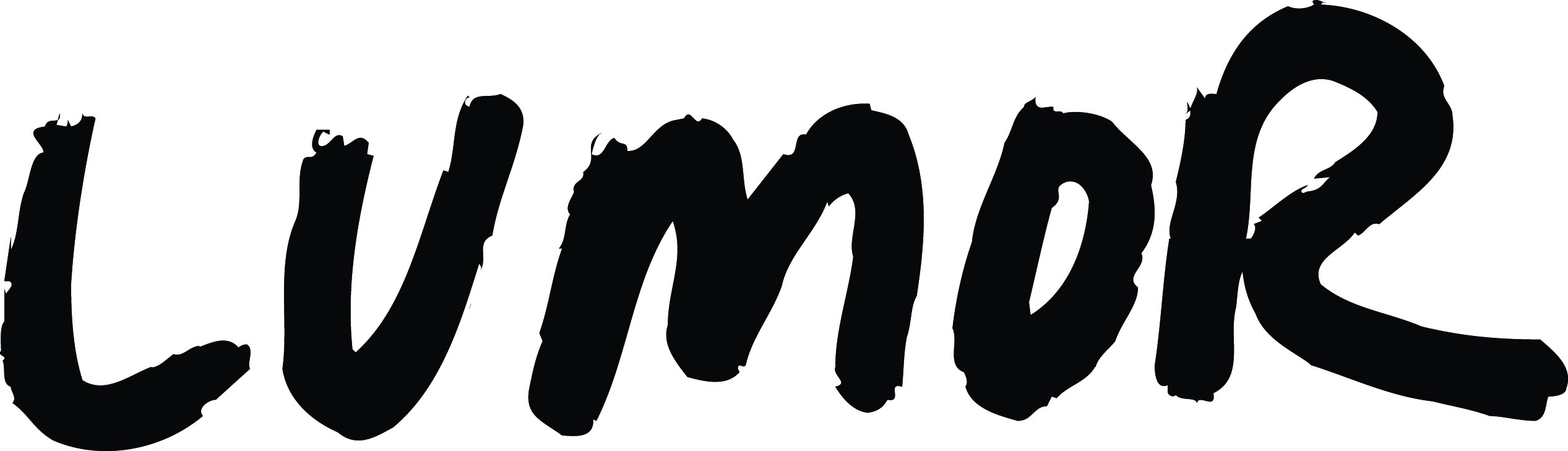 lumor_log kopiera.jpg